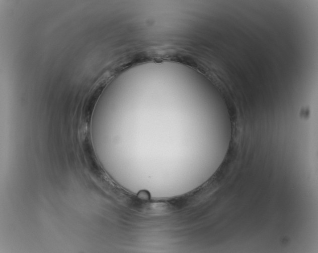 X0000113940324200909250945