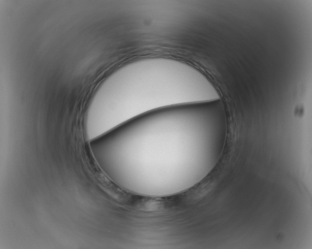 X0000113940325200909250945