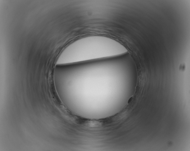 X0000113940327200909250945