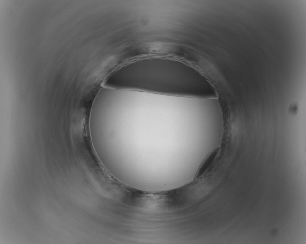 X0000113940328200909250945