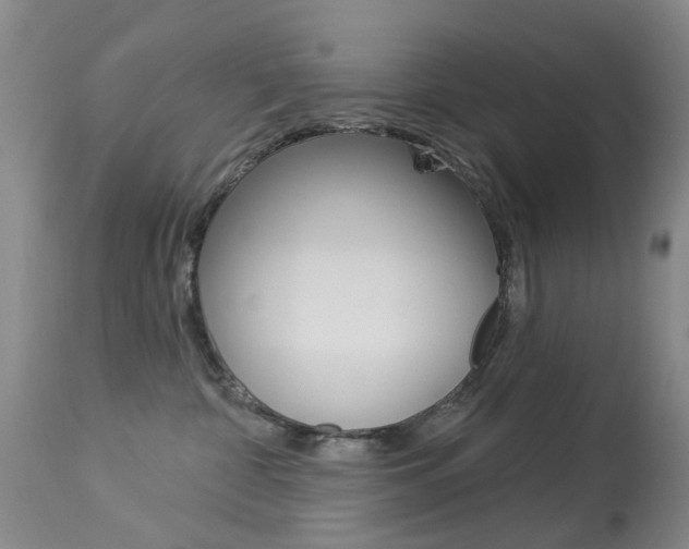 X0000113940332200909250945