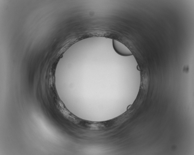 X0000113940334200909250945