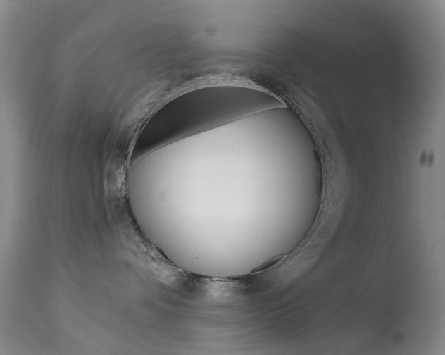 X0000113940336200909250945