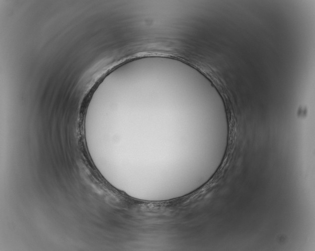 X0000113940338200909250944