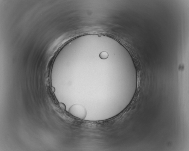 X0000113940339200909250944