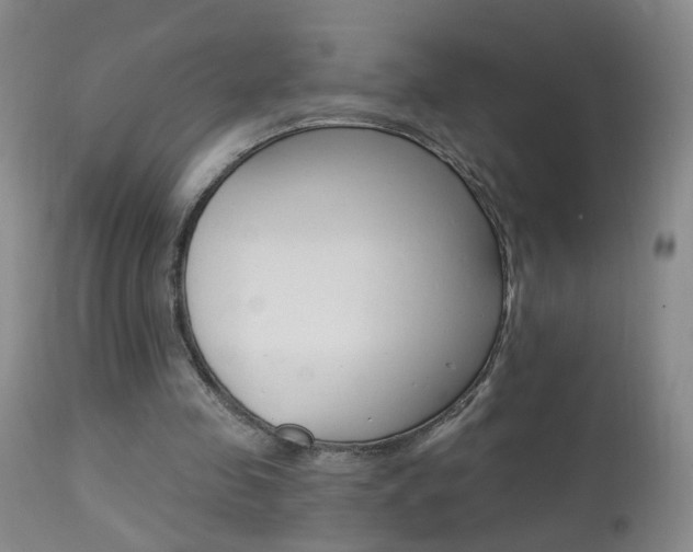 X0000113940341200909250944