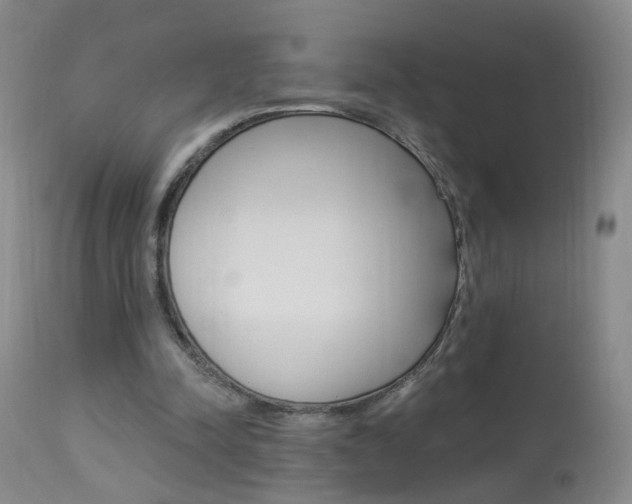X0000113940342200909250944