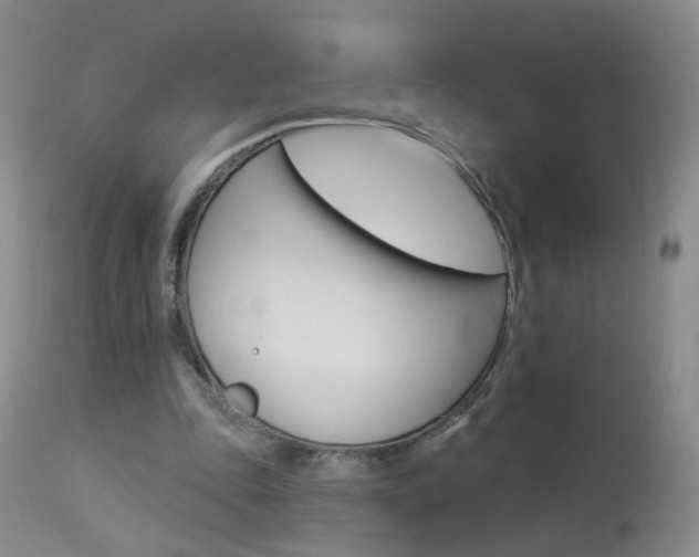 X0000113940343200909250944