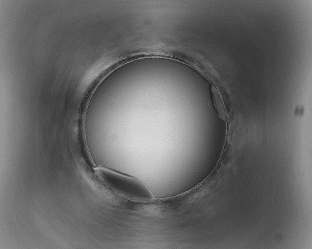 X0000113940344200909250944