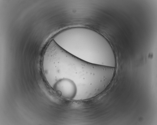 X0000113940346200909250944