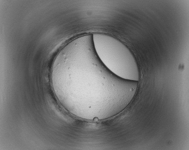X0000113940347200909250944
