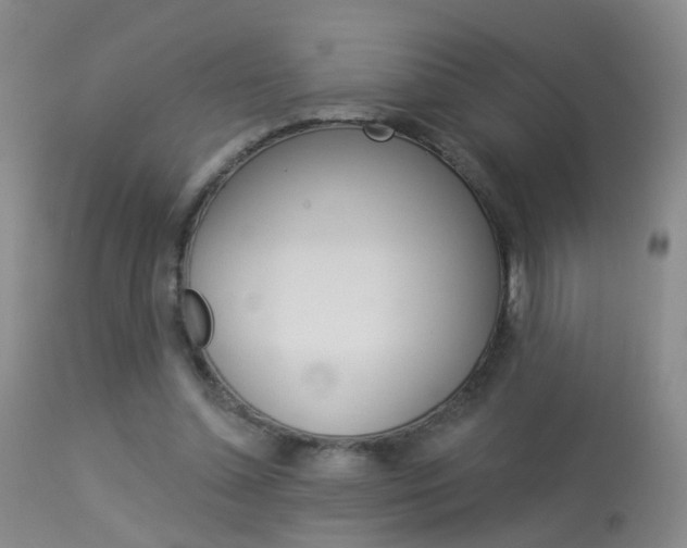 X0000113940348200909250944