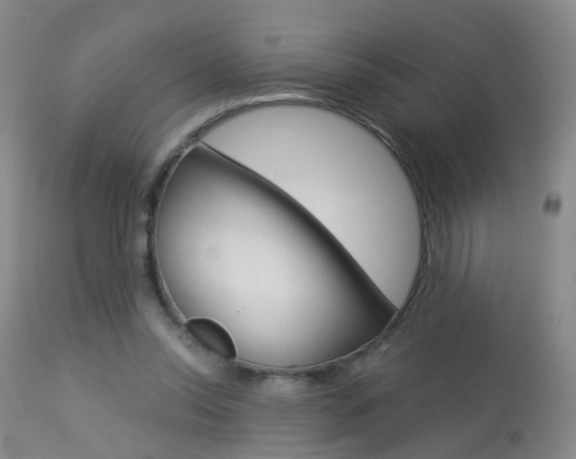 X0000113940350200909250944