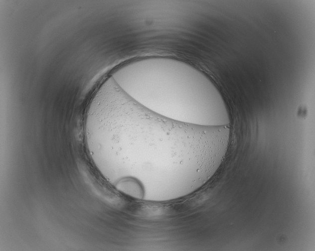 X0000113940351200909250944