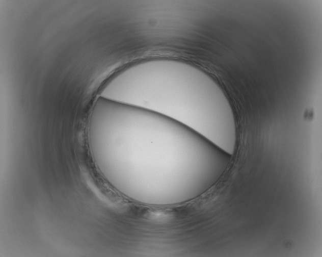 X0000113940352200909250944
