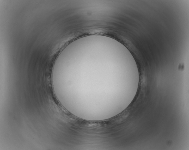 X0000113940353200909250944