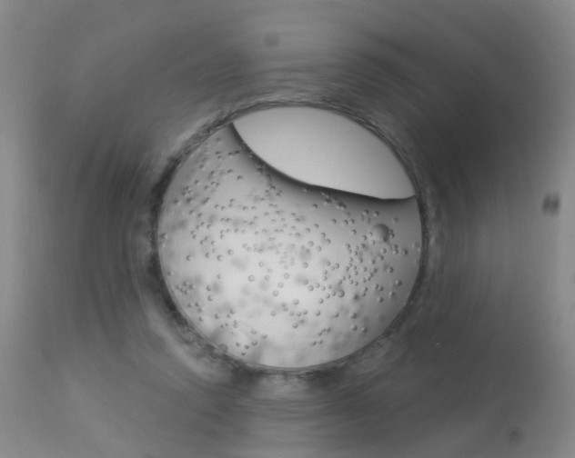 X0000113940354200909250944