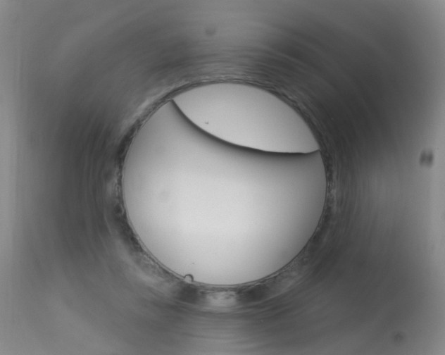 X0000113940355200909250945