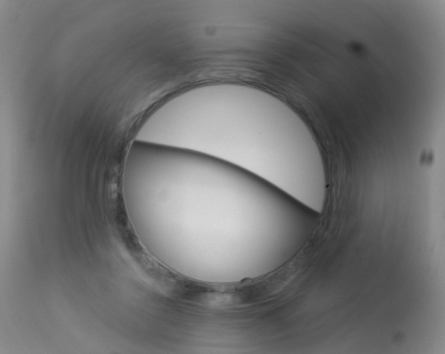 X0000113940356200909250945
