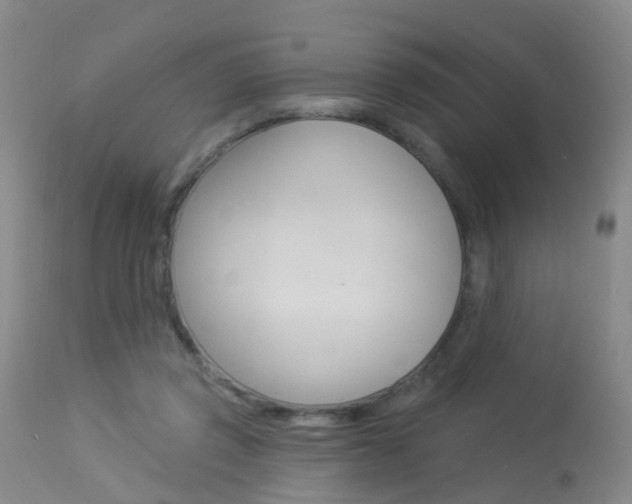 X0000113940357200909250945