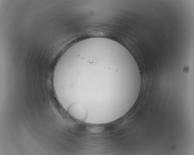 X0000113940359200909250945