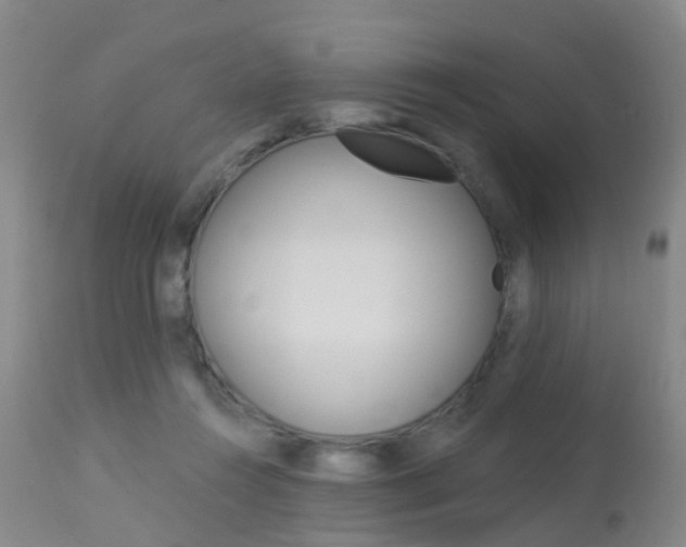 X0000113940360200909250945