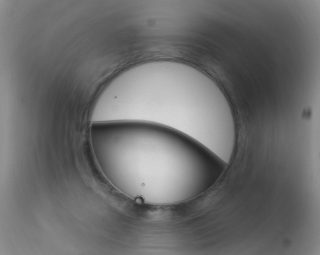 X0000113940362200909250945