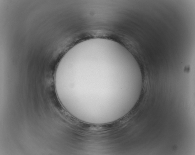 X0000113940367200909250945