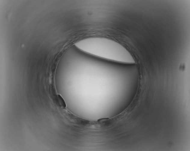 X0000113940368200909250945
