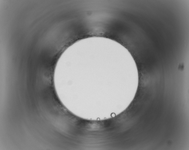X0000113940370200909250945