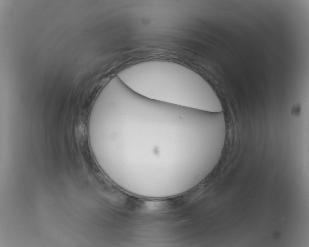 X0000113940371200909250945