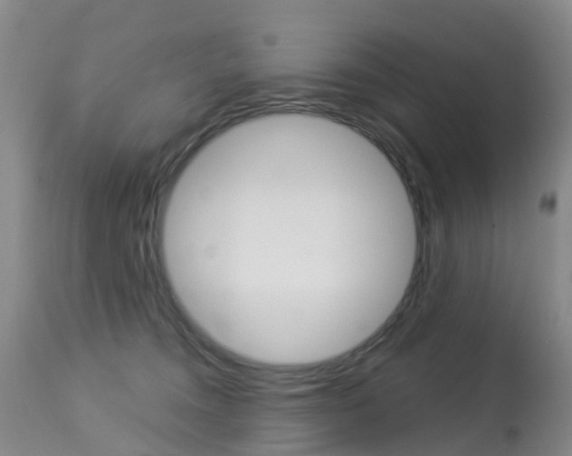 X0000113940372200909250945