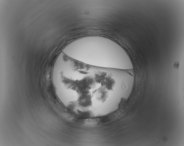 X0000113940373200909250945