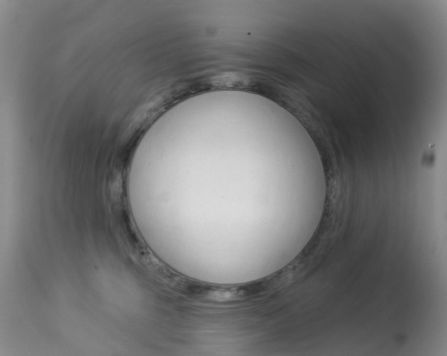 X0000113940375200909250945
