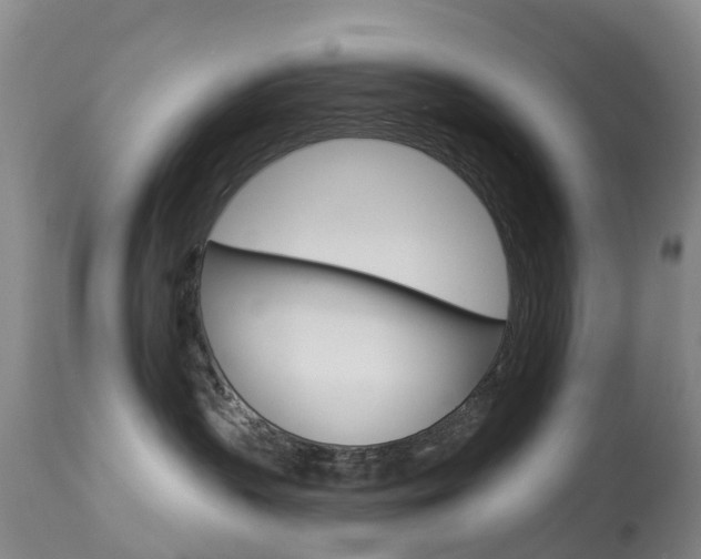 X0000113940383200909250945