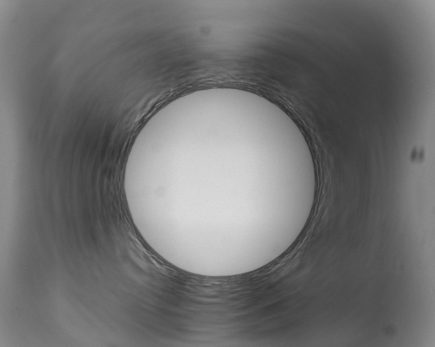 X0000113940384200909250945