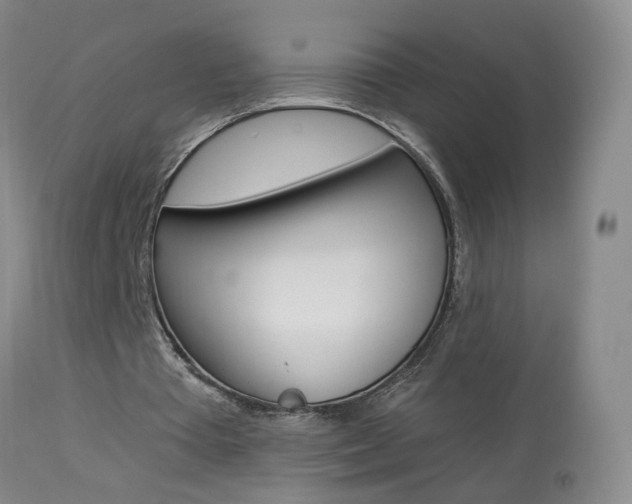 X0000113940385200909250944