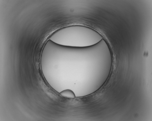 X0000113940386200909250944