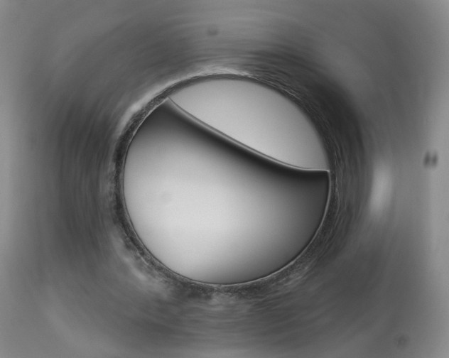 X0000113940388200909250944
