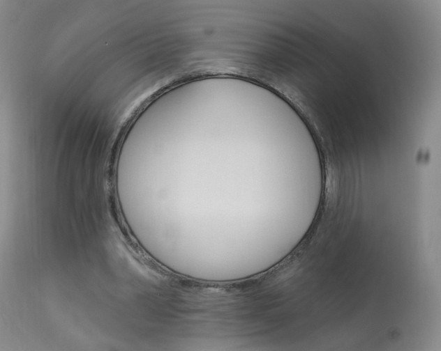 X0000113940390200909250944