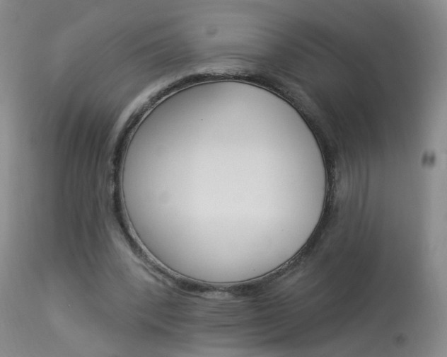 X0000113940392200909250944