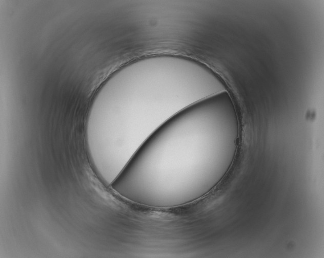 X0000113940393200909250944