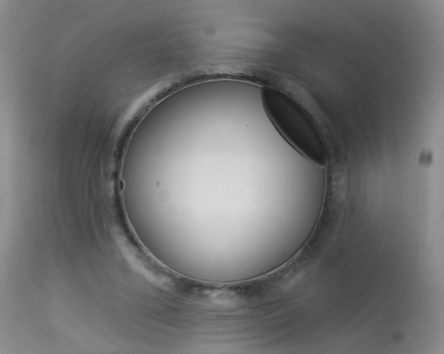 X0000113940395200909250944