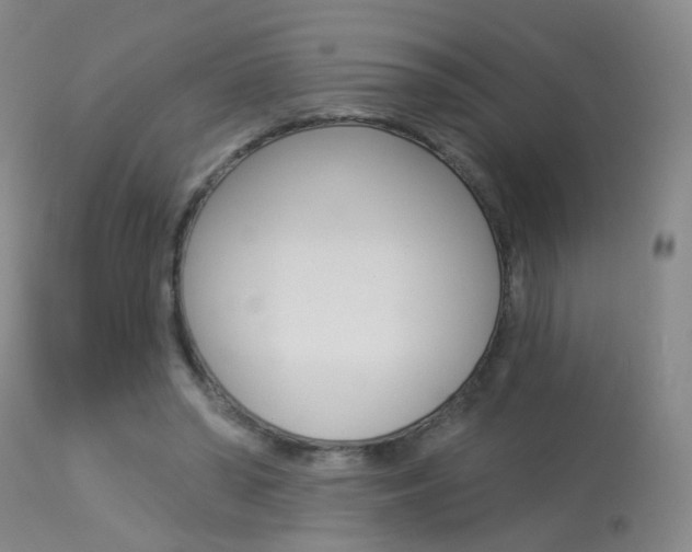 X0000113940398200909250944