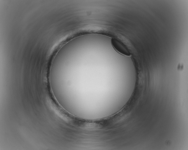 X0000113940399200909250944