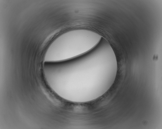 X0000113940400200909250944