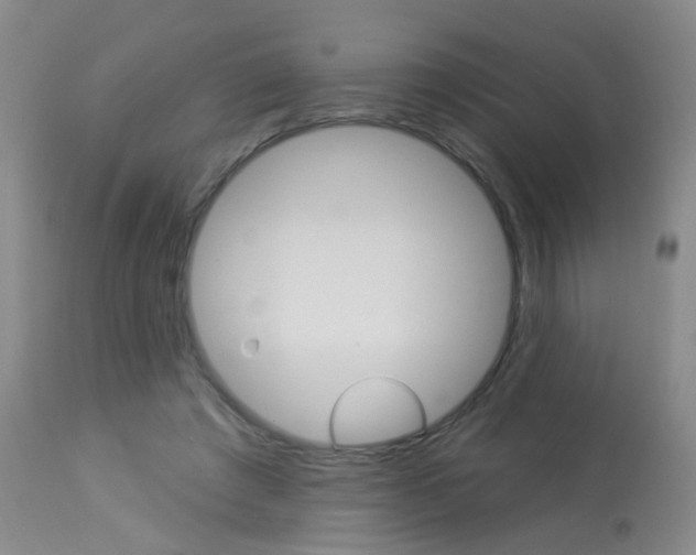 X0000113940401200909250944
