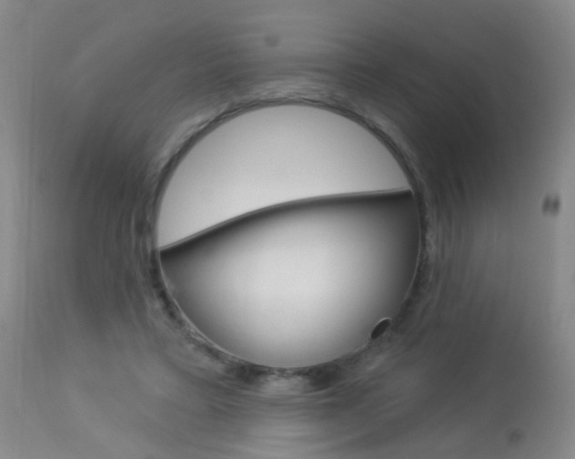 X0000113940403200909250944