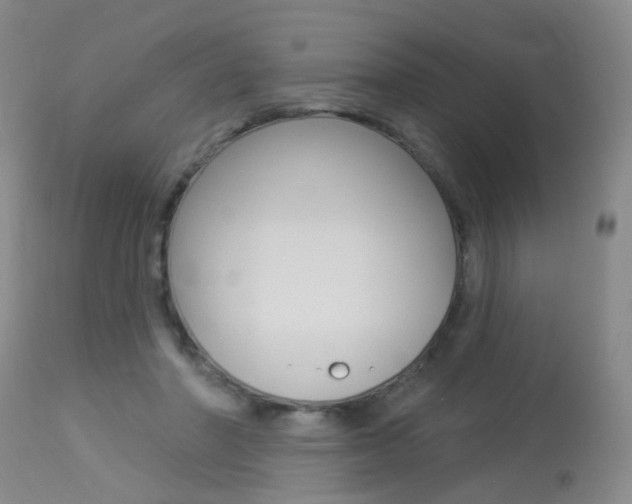 X0000113940406200909250944