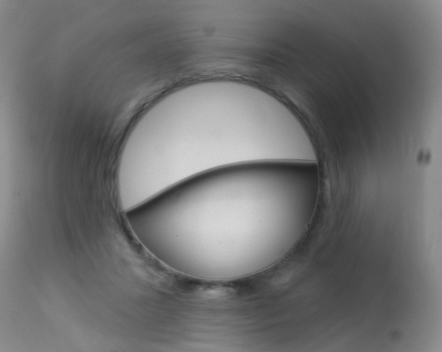 X0000113940407200909250944